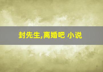 封先生,离婚吧 小说